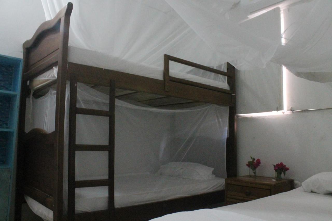 Taida Experience Hostel Rincón Extérieur photo